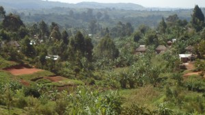 Northeast Democratic Republic of Congo 