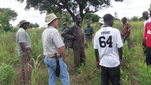 Guesthouse site in 2011