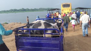 To travel to Moyo and the R.A.U. land from Kampala one must cross the Nile River . The Nile flows near Moyo.