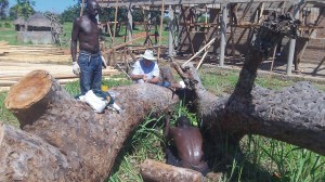 This an old log which needed to be removed. It will be hauled off and made into charcoal.