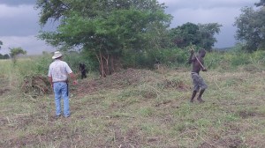 Finishing up the clearing