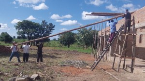 Much of the time I am with Abraham and Sam gathering materials and organizing our work. This day was a little different. I got a bit sore from helping get our Eucalyptus rafters up...these timbers are about 36 feet long and heavy!