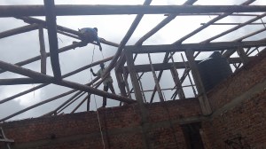 Putting the last of our Eucalyptus rafters up. 