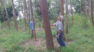 This one is too big!