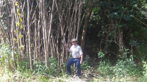 Out of the truck for a stretch.