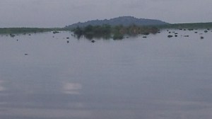 This is the view of the Nile River from our ferry.The picture does not do justice to the beauty of the river!