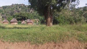 Going deep into the bush.