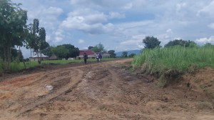 R.A.U.'s new wider entrance