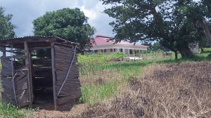  The current latrine for tukalu's.