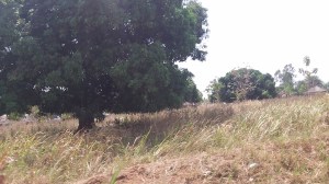 On our way to Yumbe we went by village after village with NO church. They will not hear the gospel unless someone goes to them!