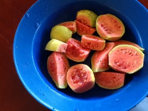 And remembering and reviving old tastes--guavas