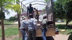 Loading the cassava at RAU