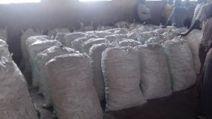 4.5 tons of cassava ready for distribution