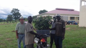 50 more grafted mangoes to plant