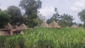 This village which borders RAU eastern side is almost empty