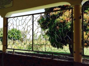 10600432_10203331166975771_7678504175467274536_n