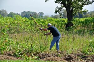 10357530_10203340610451852_1061299766495324985_n