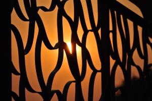 10402504_10203412731214826_716256207600252658_n