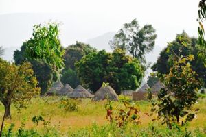 10888464_10203438607261711_8262549190163981367_n