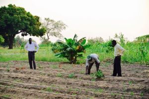 1559577_10203344116379498_469187928734370116_n