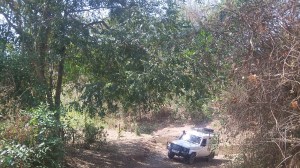 Where there are roads we take them