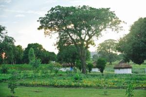 11667261_10204517329949104_8150644287284555686_n