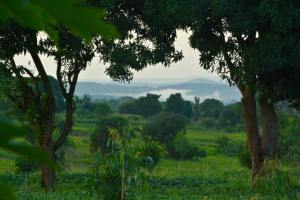 11709433_10204517229186585_8470127196738660091_n