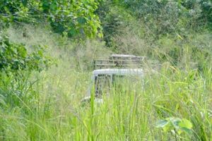 10996965_10204558738864301_1804629755240300658_n