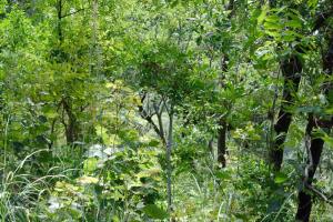 11028020_10204564565569965_2740256384620887255_n