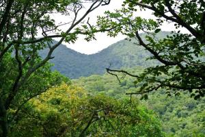 11053172_10204564562169880_6969575215056349105_n