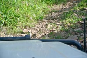 11055392_10204564873537664_6333871190091041615_n