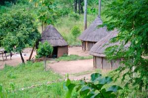 11200774_10204564646171980_6927111174599407450_n