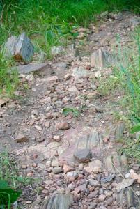 11539600_10204564569290058_4568744472755989590_n (1)