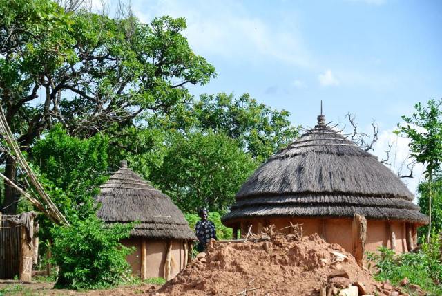 11665564_10204564825976475_6542290978615038171_n