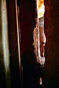 11666154_10204552183020409_9137289089497980519_n