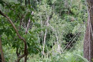 11667394_10204564558289783_2630667369425673514_n (1)