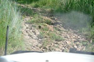 11692566_10204564881137854_6313981610567708251_n