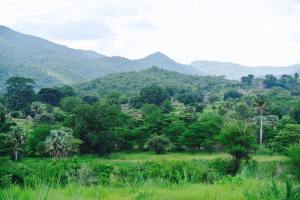 11692670_10204558365534968_155899983215483920_n