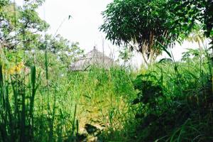 11705307_10204564823776420_911721649838407965_n (1)