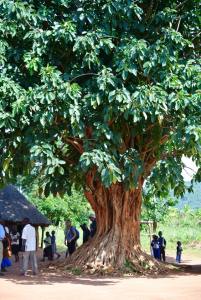 11707614_10204551651847130_7002307250958292803_n