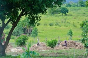 11748734_10204642968609992_15916931_n