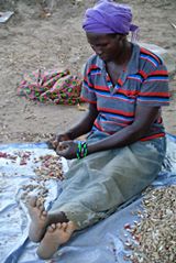 11222226_10204676887657947_8819152886026523626_n