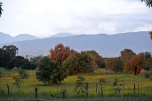 11855751_10204737001960767_7041576232601869368_n