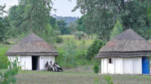 11870944_10204755217616147_3481895157290425772_n