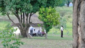 11880464_10204755215536095_5774131995821000843_n