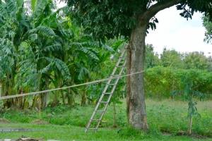 12118948_10205054779225000_5751457178699493167_n