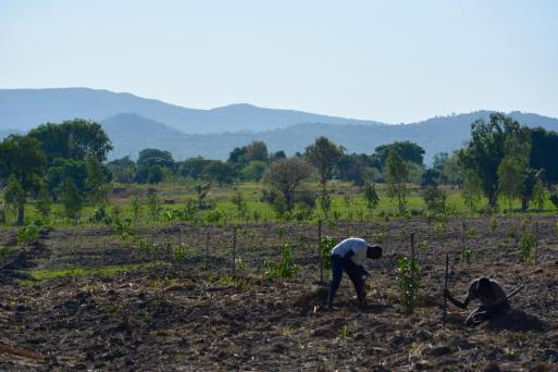 12923160_10206081489412113_725151592004747592_n