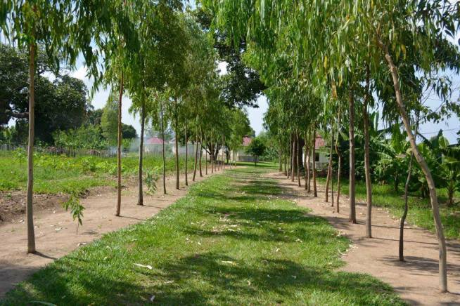 14937788_10207469387708703_881404279_n