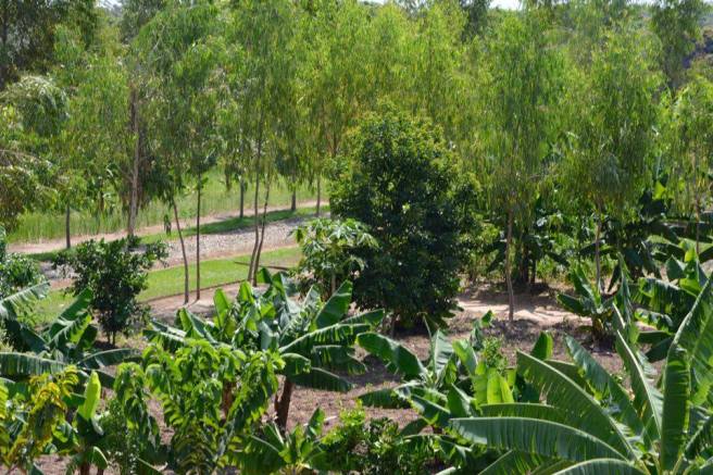 14962322_10207469400109013_1194555770_n