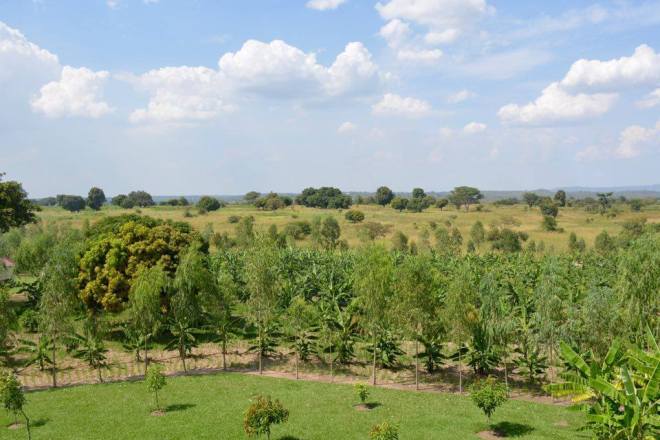 14962481_10207469398148964_1426168627_n